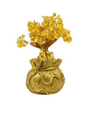 Arvore Da Vida Dinheiro Bonsai 20 Cm