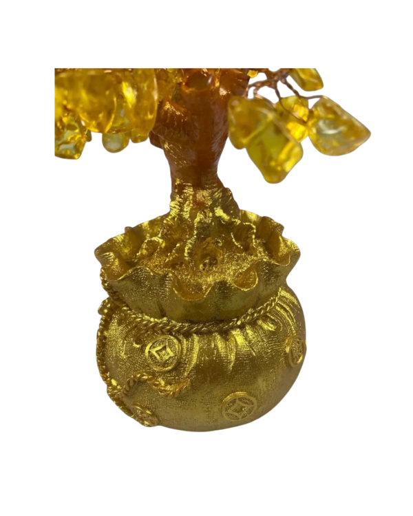 Arvore Da Vida Dinheiro Bonsai 20 Cm