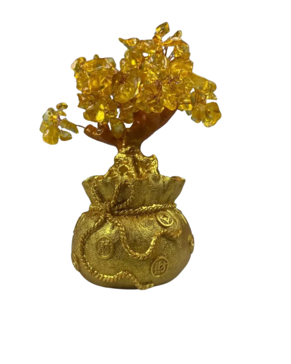 Arvore Da Vida Dinheiro Bonsai 20 Cm