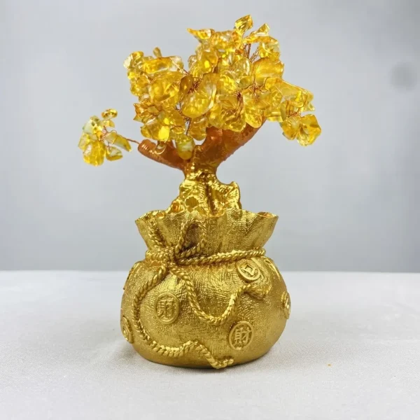 Arvore Da Vida Dinheiro Bonsai 20 Cm